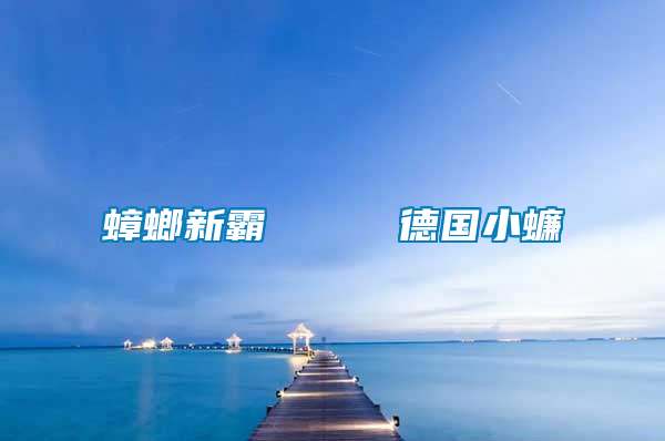 蟑螂新霸     德國(guó)小蠊